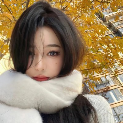 孤鸟罗宾